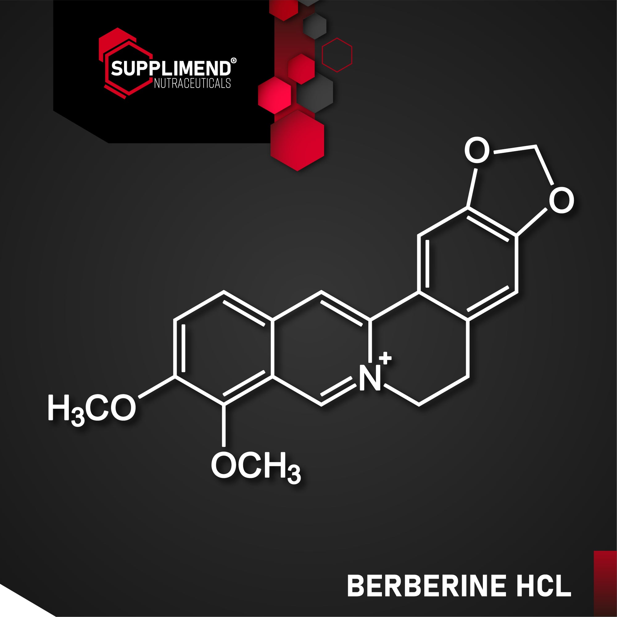 What is Berberine?
